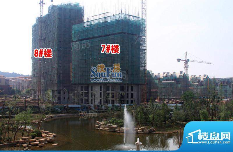 枫林天下配套图