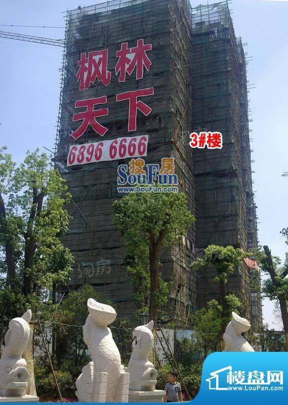 枫林天下配套图