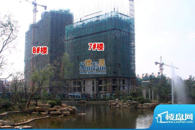 枫林天下配套图
