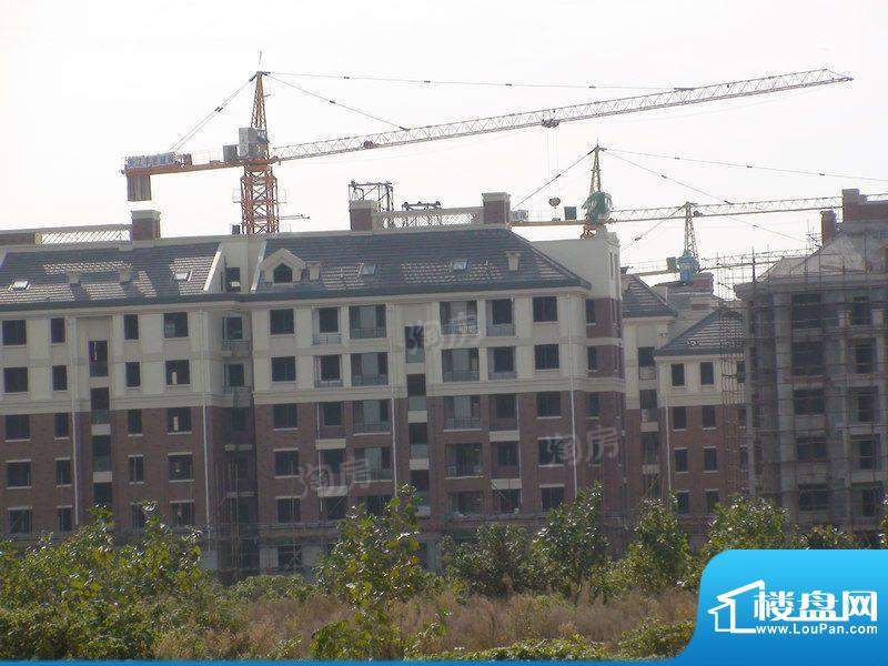 丰惠华丽家族配套图