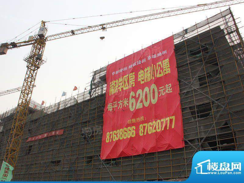 英华丽园配套图