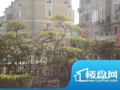 明珠山庄配套图