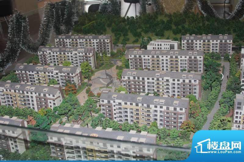 天悦华景配套图