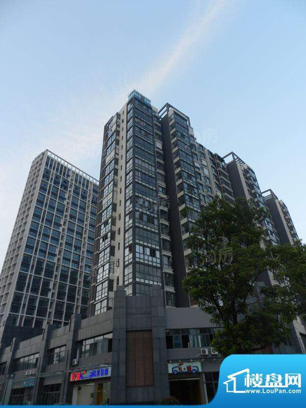 中集集品嘉园配套图