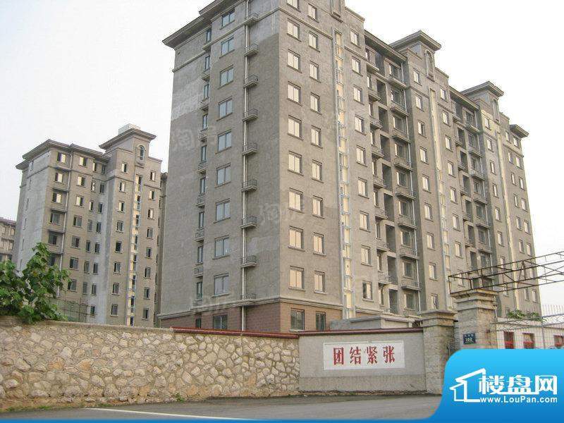 山水龙瑞配套图