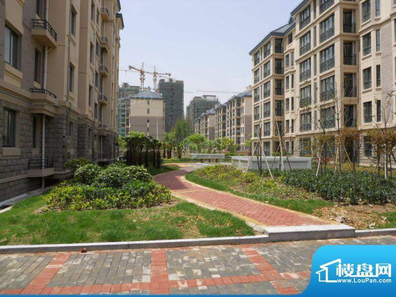 永旭金色阳光配套图