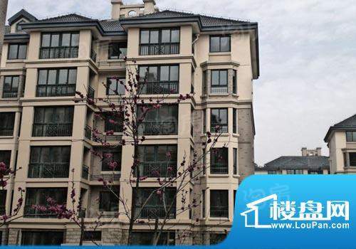 永旭金色阳光配套图