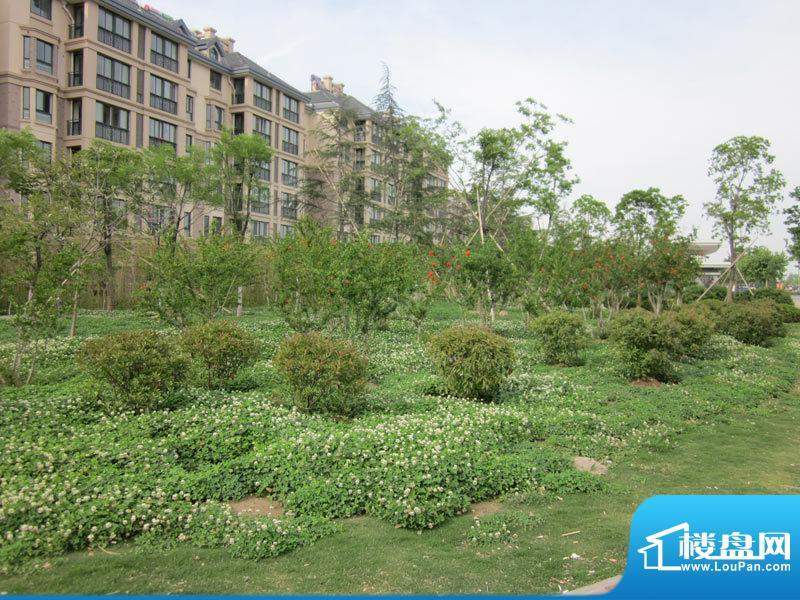 永旭金色阳光配套图