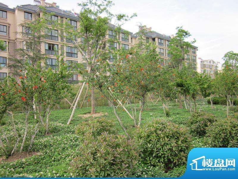 永旭金色阳光配套图