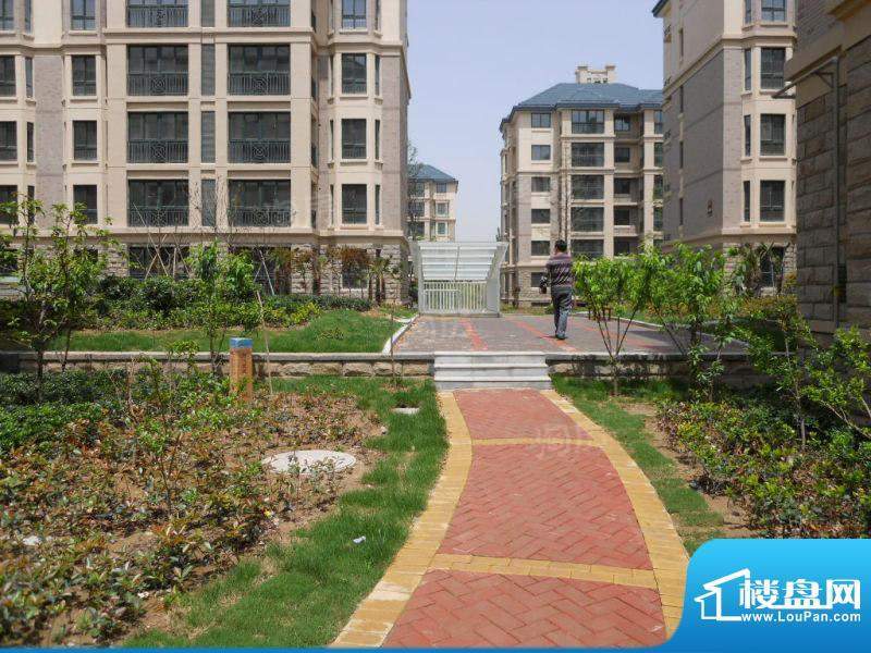 永旭金色阳光配套图