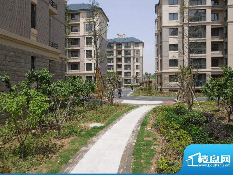 永旭金色阳光配套图