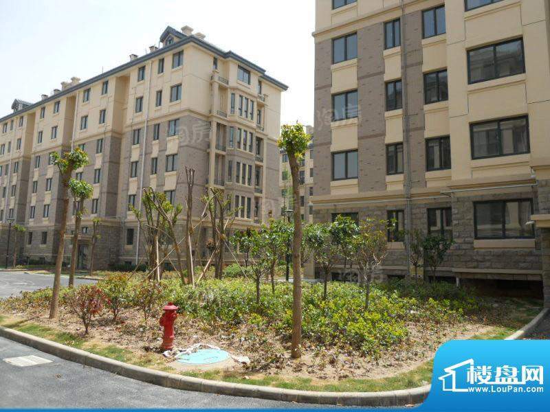 永旭金色阳光配套图