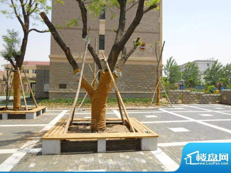 永旭金色阳光配套图