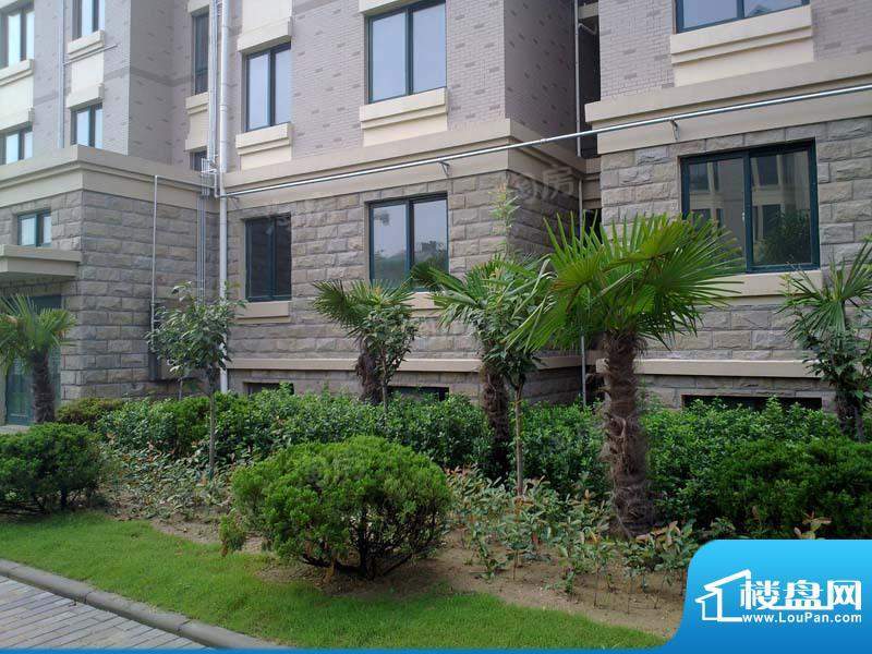 永旭金色阳光配套图