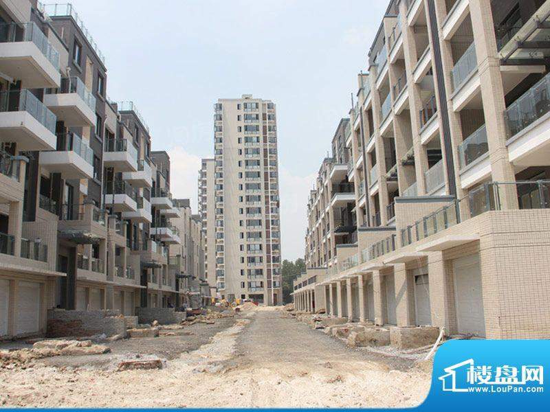 依云城邦配套图