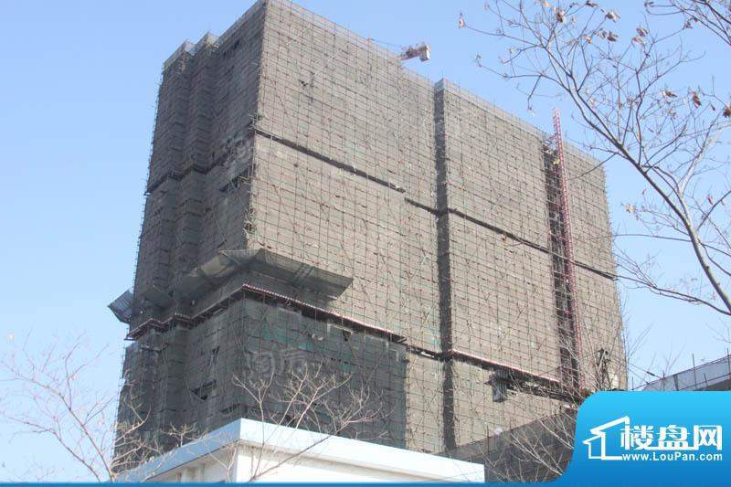 中央公园配套图