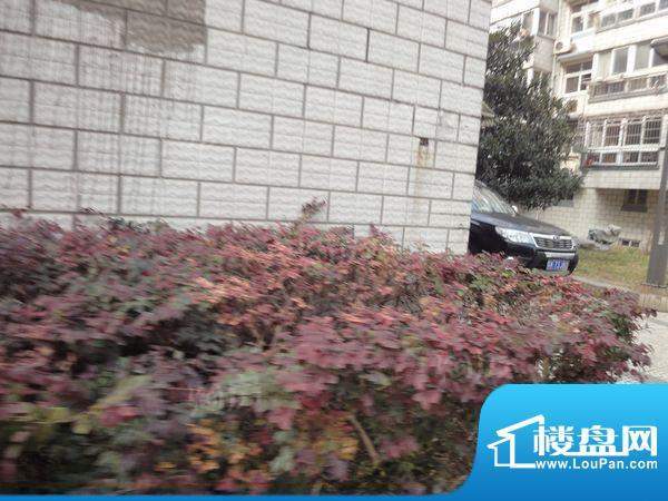 汇景豪庭配套图