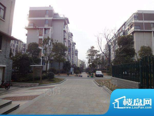 万海虹桥湾配套图