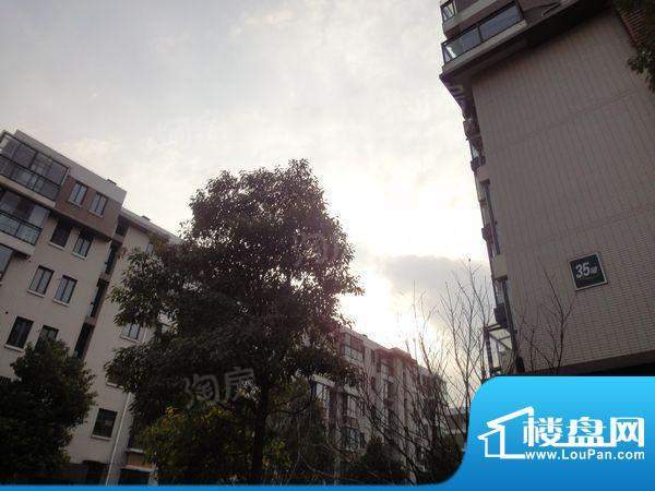 万海虹桥湾配套图
