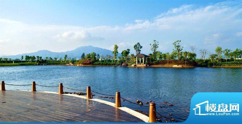 锦绣国际花城配套图