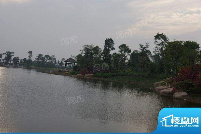 锦绣国际花城配套图