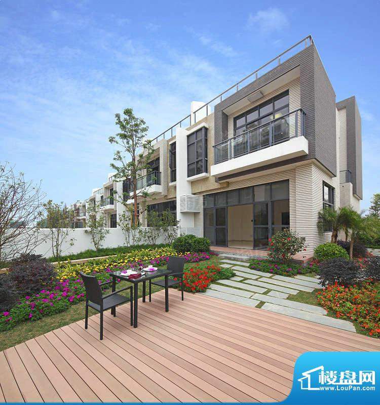 丽丰棕榈彩虹实景图