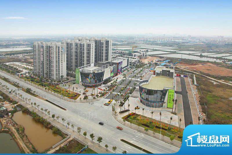 丽丰棕榈彩虹实景图