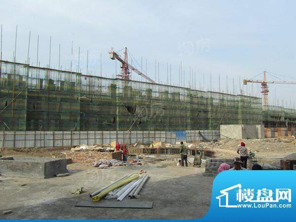 新思维红河谷配套图
