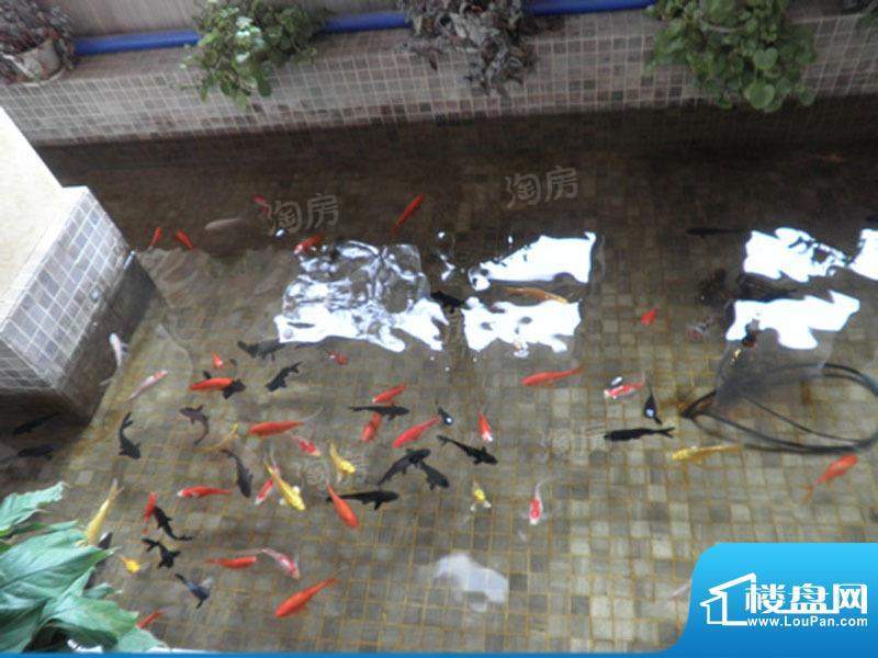 宝湖湾配套图