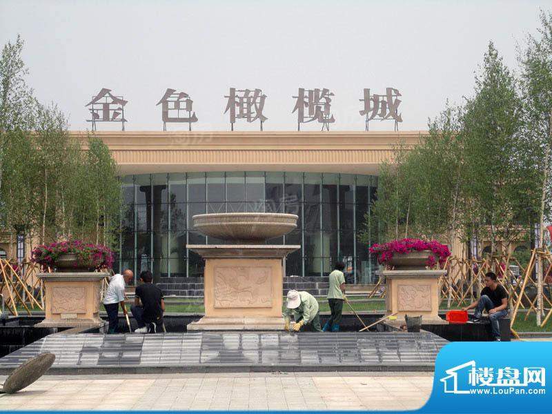 金色橄榄城配套图