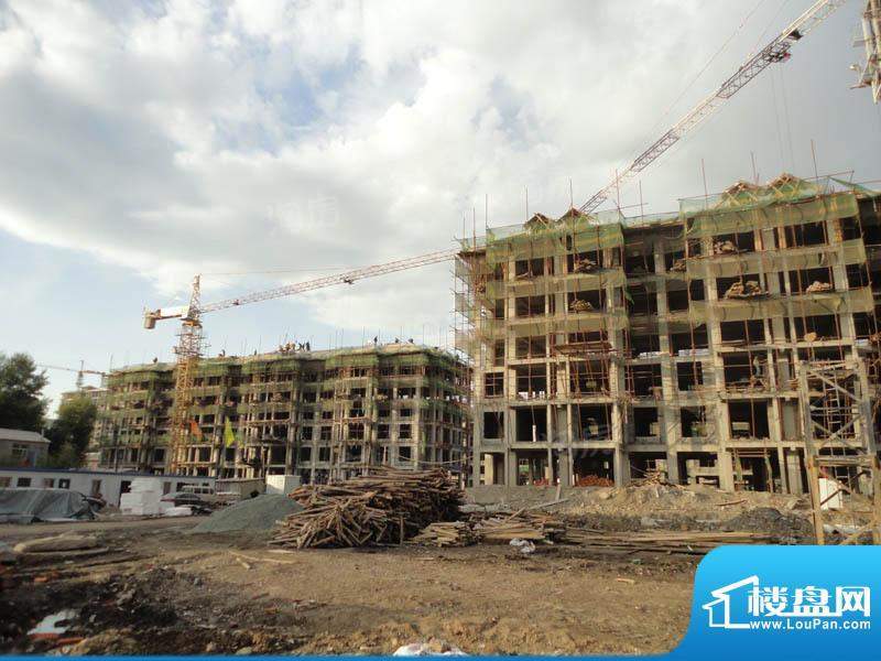 金色橄榄城配套图