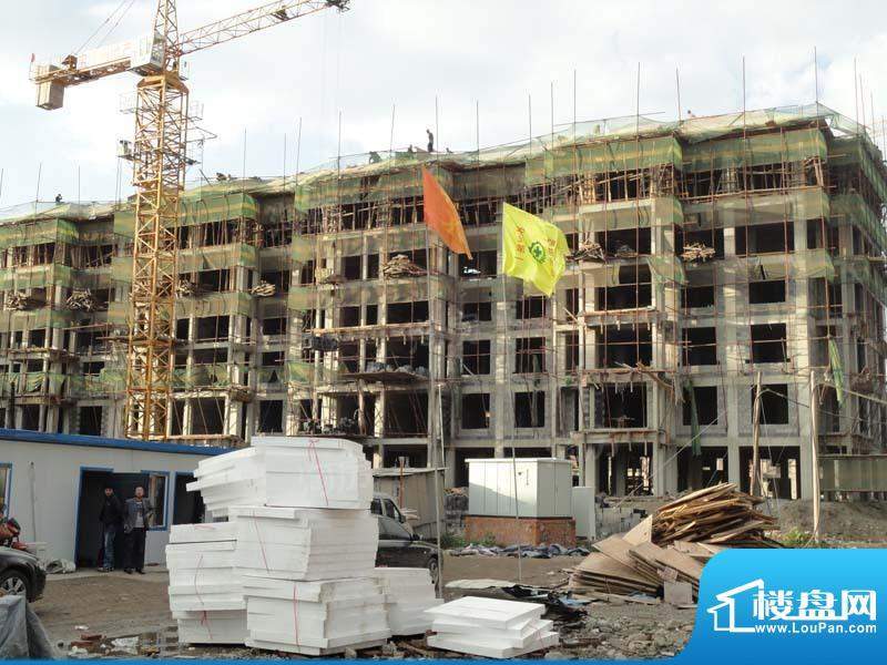 金色橄榄城配套图