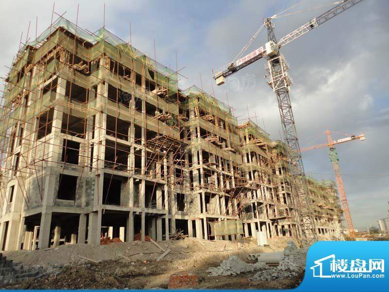 金色橄榄城配套图