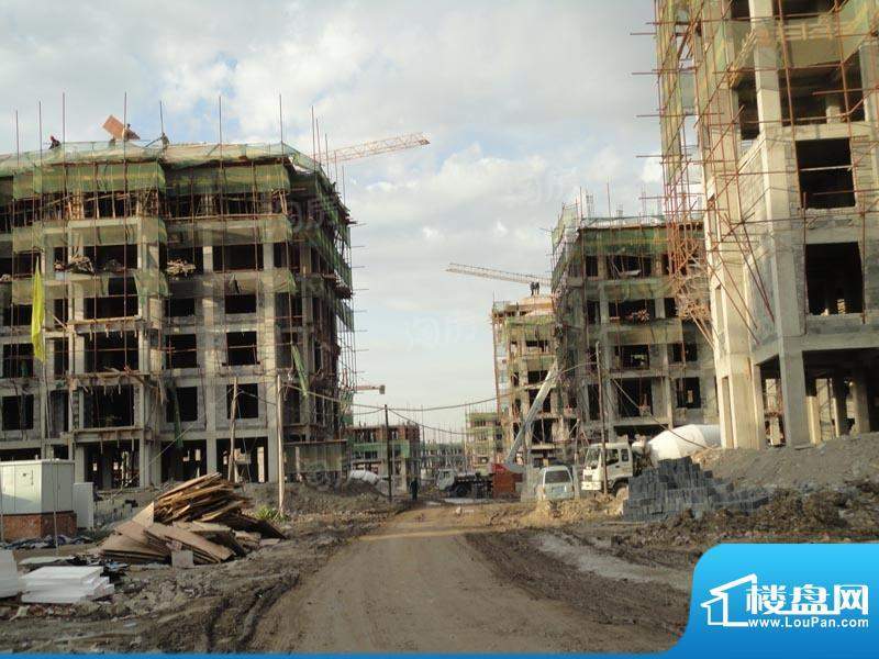 金色橄榄城配套图