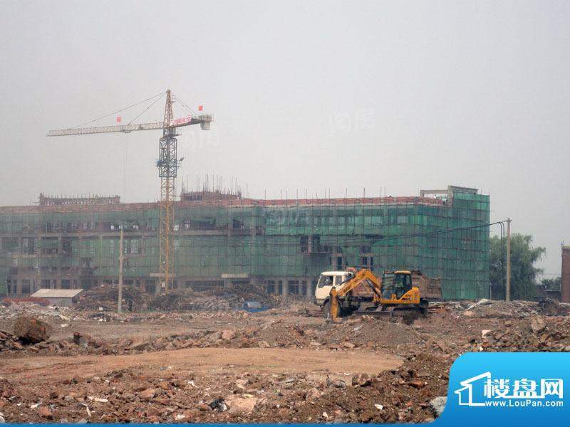 金色橄榄城配套图