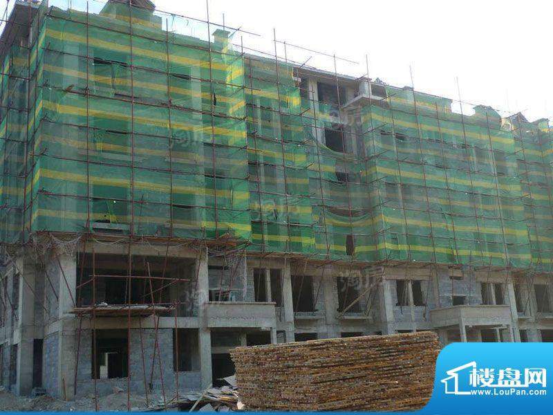 金色橄榄城配套图