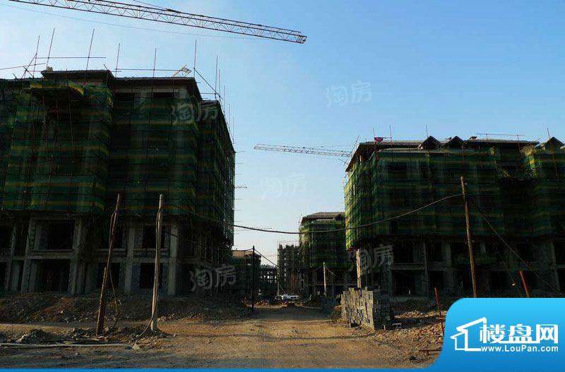 金色橄榄城配套图