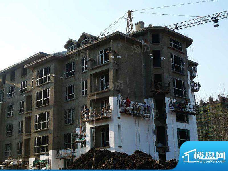 金色橄榄城配套图