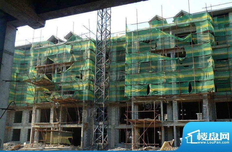 金色橄榄城配套图