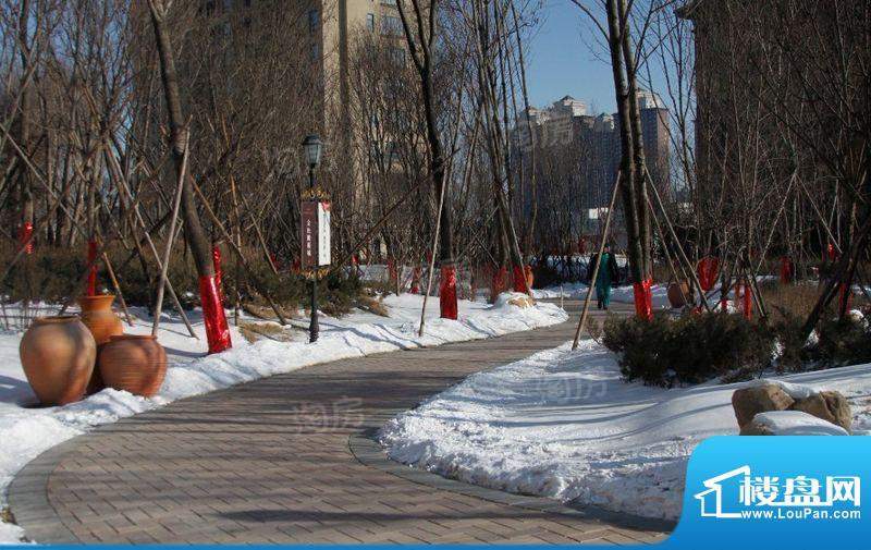 金色橄榄城配套图