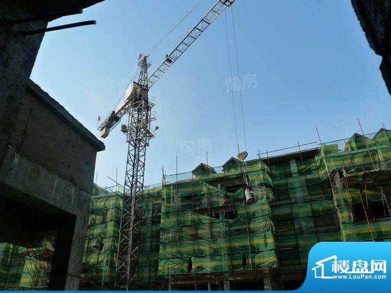 金色橄榄城配套图