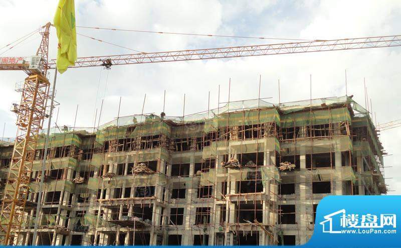 金色橄榄城配套图