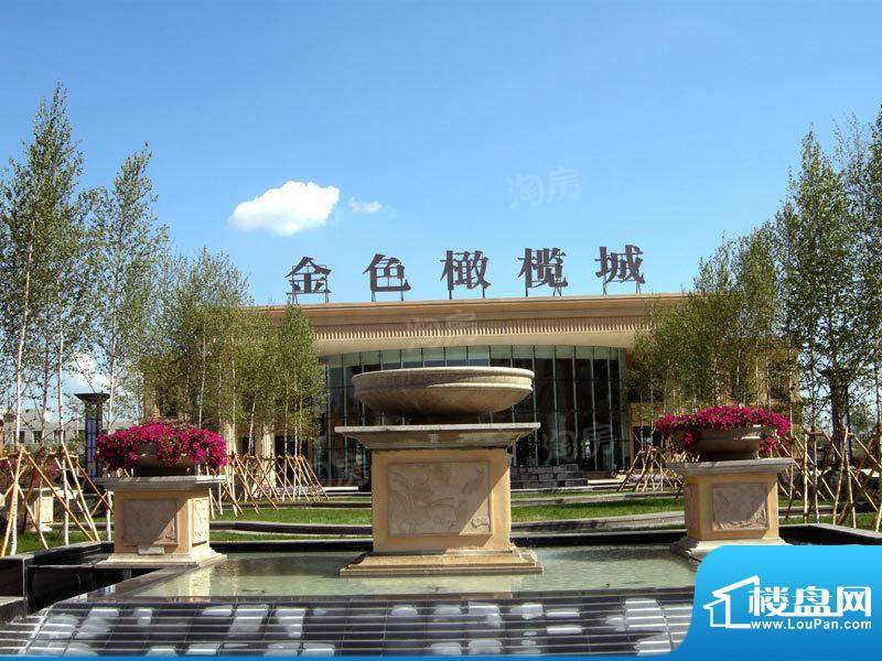 金色橄榄城配套图