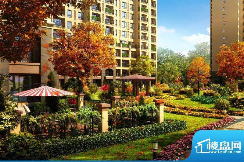 金色橄榄城配套图