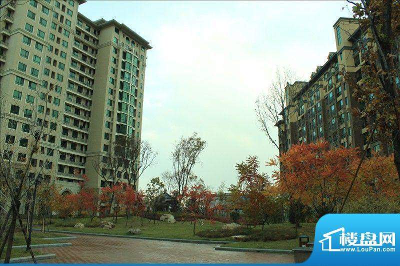 君地天城配套图