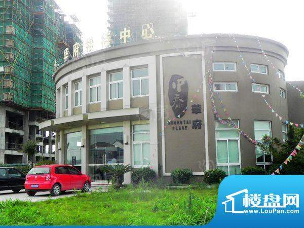 中泰华府配套图
