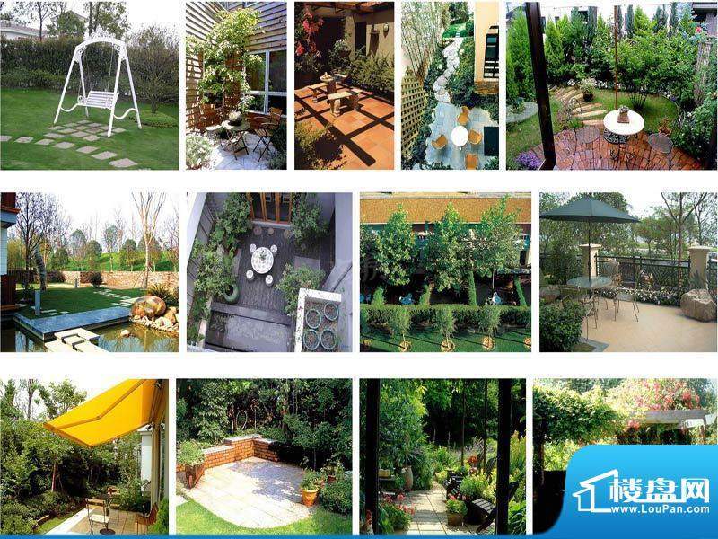 蓝天玫瑰园配套图