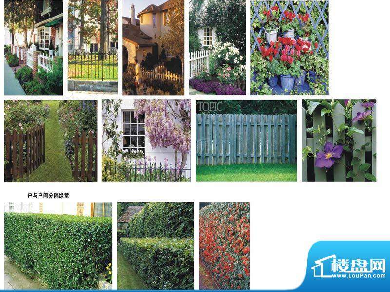 蓝天玫瑰园配套图