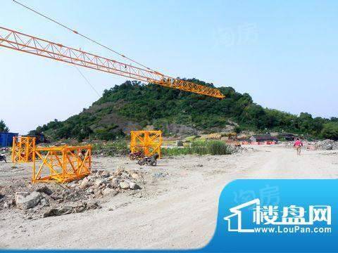 蓝天玫瑰园配套图