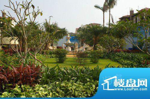 鲁能海蓝福源配套图